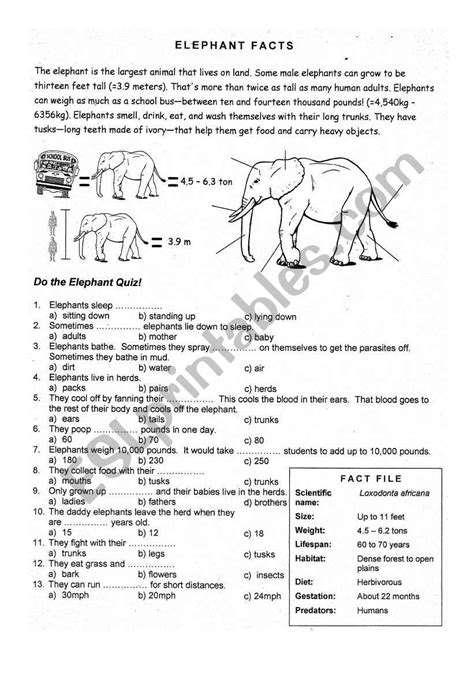Do Elephants Know How To Gamble Worksheets .